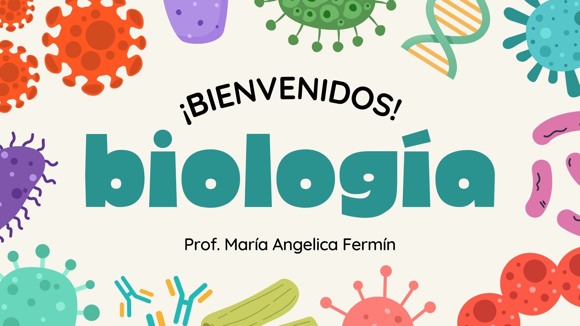 Biología 4to 2025-2026